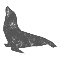 Essipit - Mammifère marin